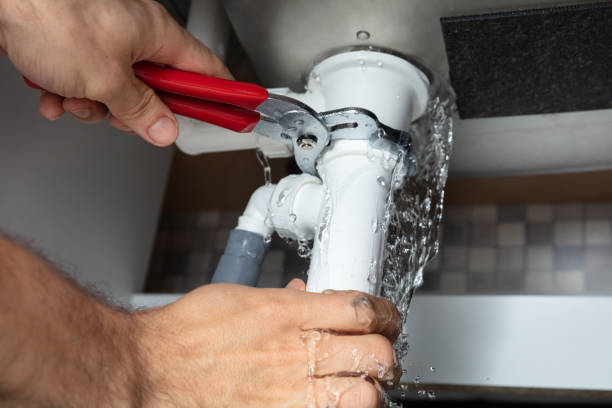 Best Ceiling water damage repair  in Weldon Spring, MO