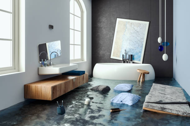 Best Ceiling water damage repair  in Weldon Spring, MO