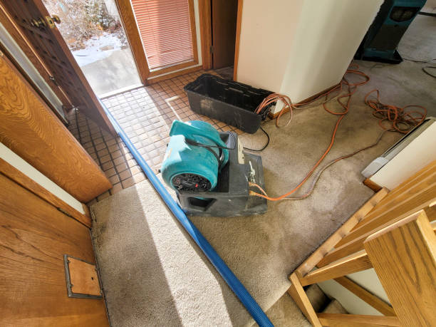 Trusted Weldon Spring, MO Water damage restoration Experts