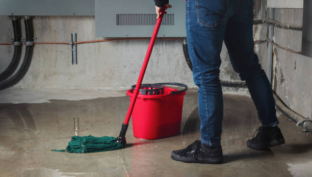 Best Flood restoration services  in Weldon Spring, MO