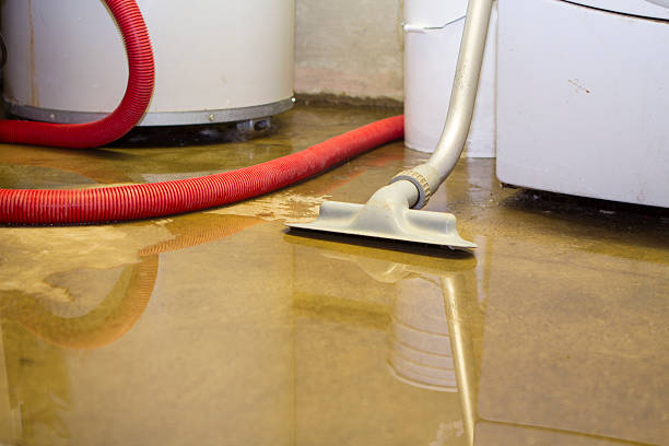 Best Fire Damage Restoration  in Weldon Spring, MO