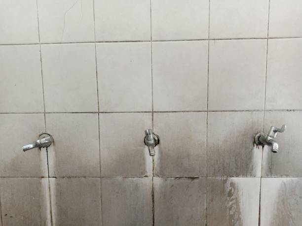Best Carpet water damage restoration  in Weldon Spring, MO