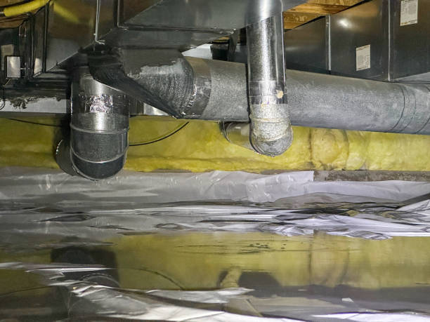 Best Water damage cleanup near me  in Weldon Spring, MO