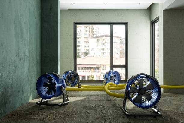 Best Water damage restoration near me  in Weldon Spring, MO